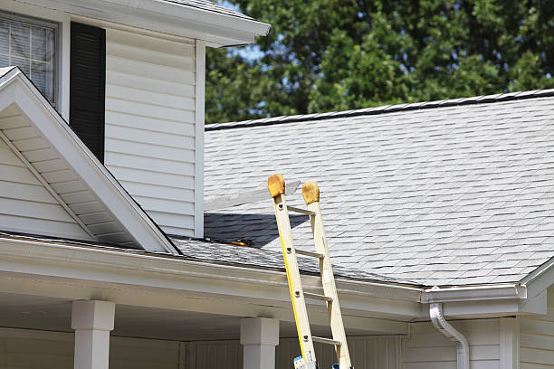 Best Storm Damage Siding Repair  in Necedah, WI